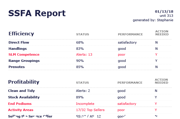 Report example